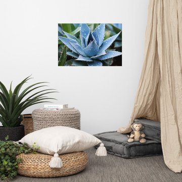 Botanical Art Prints: Delicate Agave Rustic Photorealism