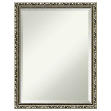 Parisian Silver Beveled Wood Bathroom Wall Mirror - 20 x 26 in.