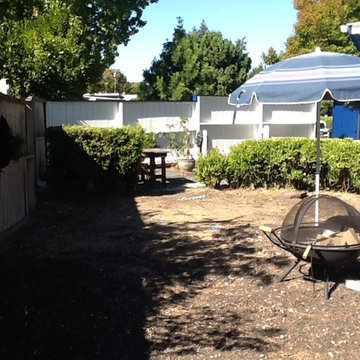 Lawn Replacement Edible Landscape