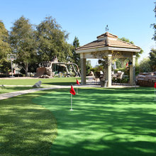 back yard