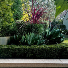 Plants