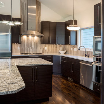 Contemporary Kitchens
