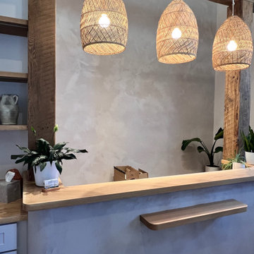 Therapist's Office - Lime Plaster and Limewash - Fairhaven, WA
