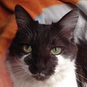 Brad Houghton's photo