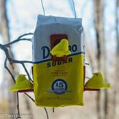Joyce Cronin Brindisi's photo