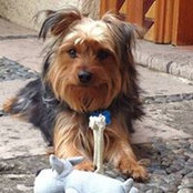 Norma Elias Calles's photo