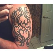 Stephen Packowski's photo