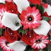 Didi's Flowers's photo