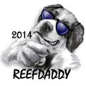 Reef Man's photo