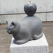 Nicky Mann's photo