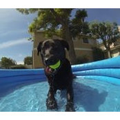 Eric Poomi's photo