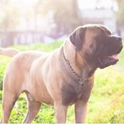 Kathy King's photo