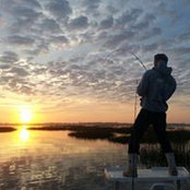 Adam Russo's photo