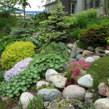 fence and garden