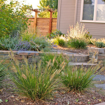 Stacked Basalt Retaining Wall and Perrenial Grasses