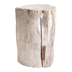 PETRIFIED WOOD STOOL - Products