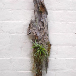 Living Sculptures - Sculptures