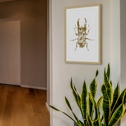Beetle Gold - Products