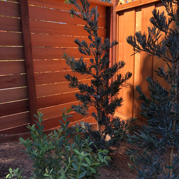 Front and Backyard