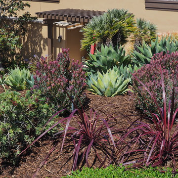 La Jolla Refresh