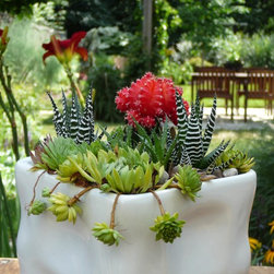 Summer Planters - Outdoor Pots And Planters