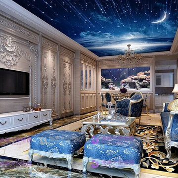 Photo or Stretch Ceilings