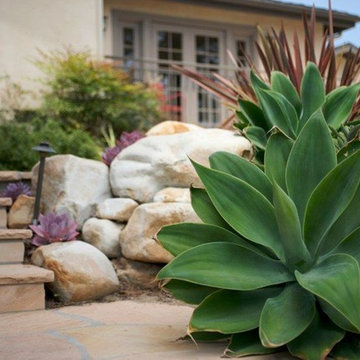 Cottage Paradise: Waterwise Succulent Garden