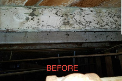Mold remediation from the crawlspace of apartment building