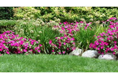 Design ideas for a landscaping in Denver.