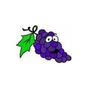 Adam Hayes's photo