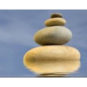 Tammy Vohs's photo