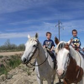 Nicole Wimmler's photo
