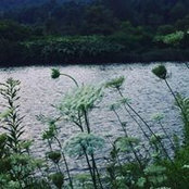Natalie Bradshaw's photo