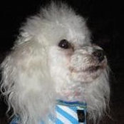 Sonja Joyce's photo