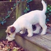 Patti Bradford's photo