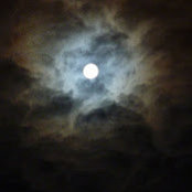 Sigrid Jenkins's photo