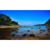 Nigel Bird's photo