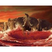 Wade Stewart's photo