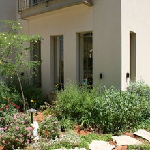 garden/outdoor space