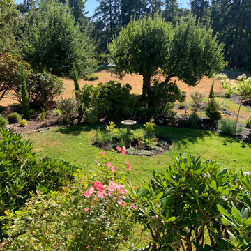 Budget Saving Cottage Garden