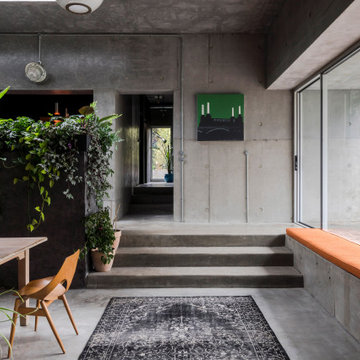 Lewes Concrete House