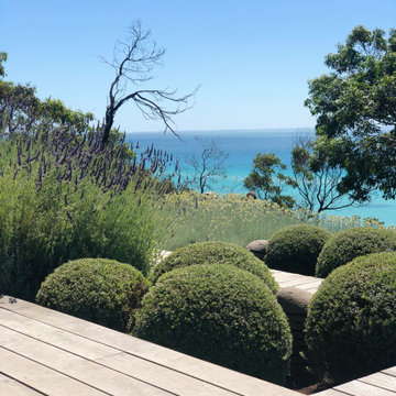 Dromana