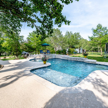 Freestyle Pool With Sun Shelf