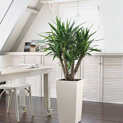 Cubico Premium 40 - Outdoor Products