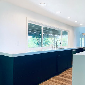 Matte Black Kitchen