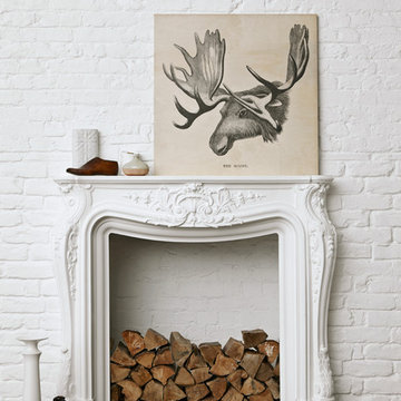 Prints & Canvases
