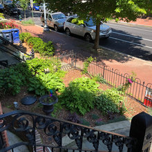 Existing yard