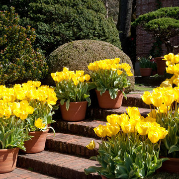 Filoli