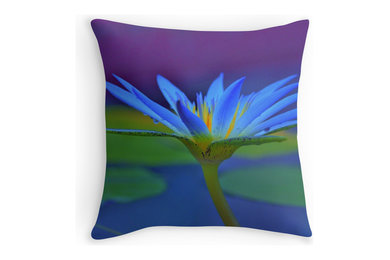 Throw Pillows/Cushions & Covers