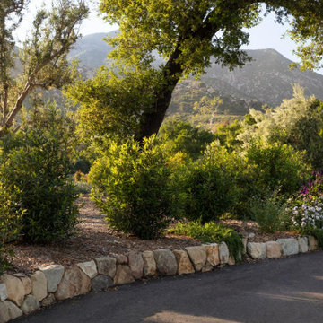 Montecito Phoenix rise from the ashes